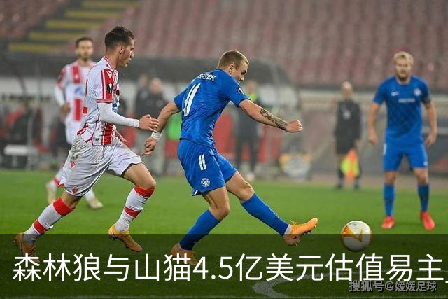 森林狼与山猫4.5亿美元估值易主 洛尔退位罗德里格斯携新资方接盘