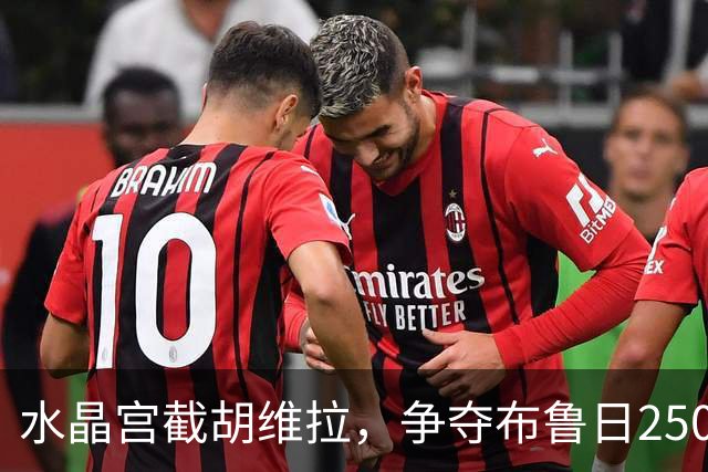 水晶宫截胡维拉，争夺布鲁日2500万铁卫奥多涅斯