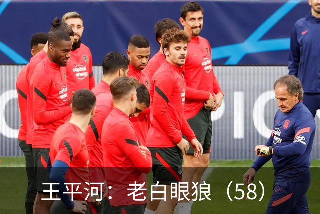 王平河：老白眼狼（5/8）