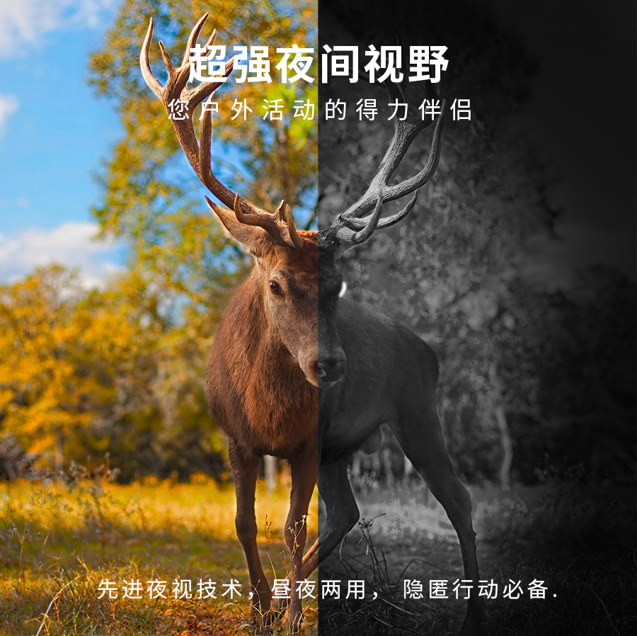 008SP详情 (2).jpg